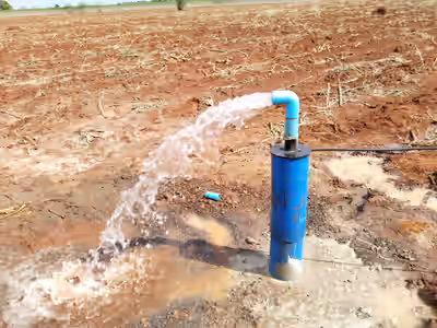 ผลงานของเรา 5