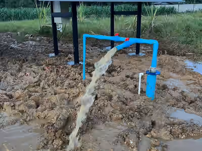 ผลงานของเรา 6